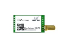 LoRa, 868MHz 1W DIP long range, 5V Supply,RF Transmission 30 dBm, 10 k - Thumbnail