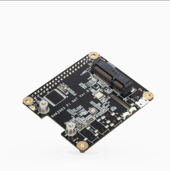 RAK2287/RAK5146 Raspberry Pi. HAT