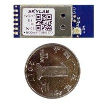 RTL8811 Dual Band USB WiFi Module WG217 (09273304) - Thumbnail