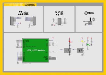 tRF_BoB LE50-868